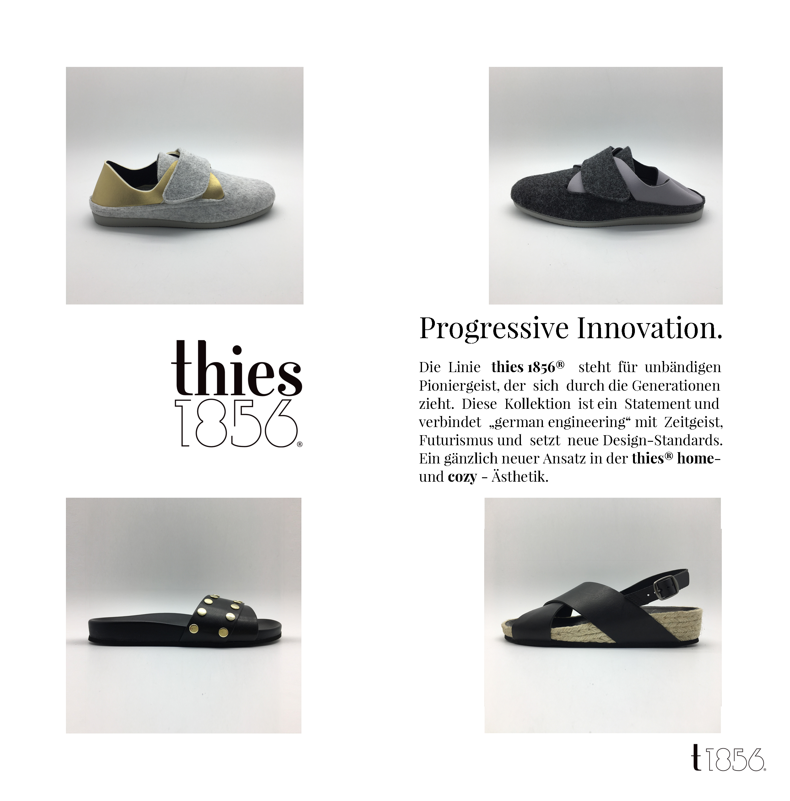 thies 1856 progressiv booklet DE Kopie